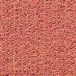 Trapmat-0278-Paris-PS-012-Cognac-1_VloerenCentrale
